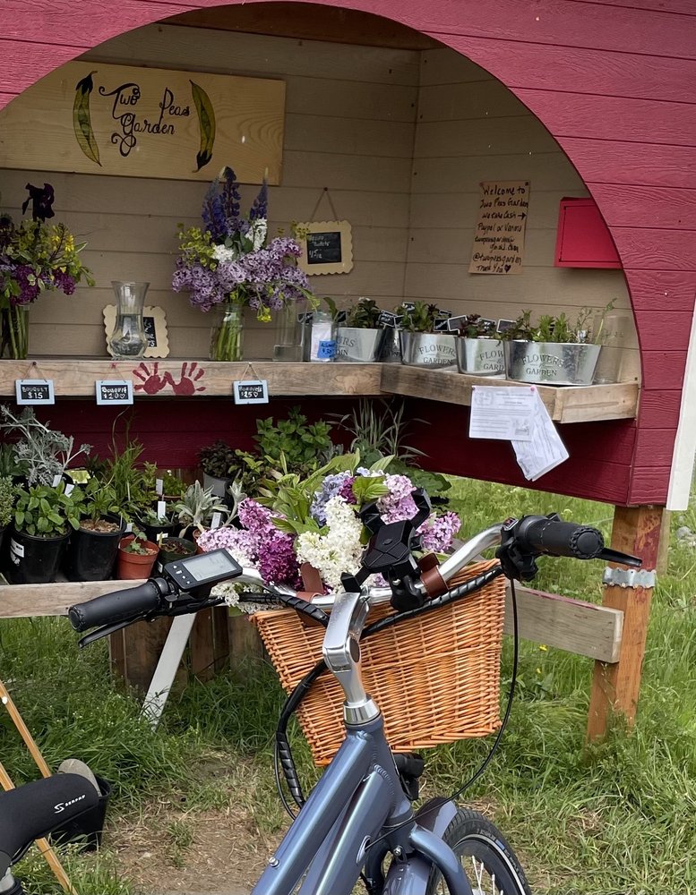 Two Peas Garden - beekeeping in Sequim, WA