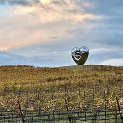 The Donum Estate