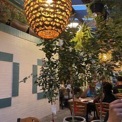 Fresca Taqueria - Outdoor patio with tons of plants
