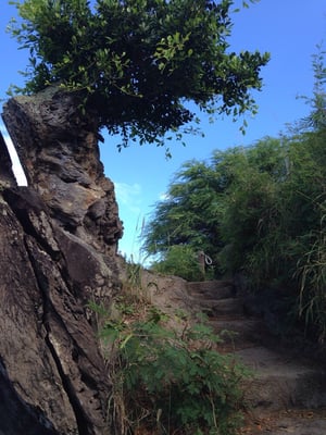 Kapalua Cliff House by null