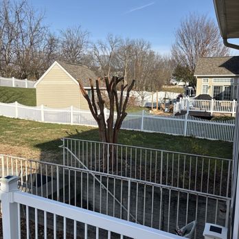 Ventura Landscaping - After - Tree Services Near Me