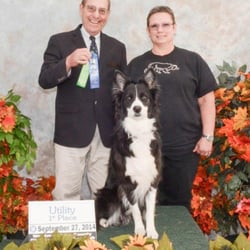 Paw & Hand Obedience - Owner, Lana Kline, with Jypsy, 1st Place Utility A, September 2014, Westmoreland, PA
