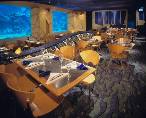 Coral Reef Restaurant by null