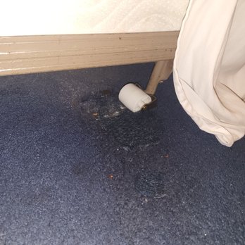 Hotel Catalina - Carpet was gross - Hotels Near Me - Avalon, California Hotel Catalina - Carpet was gross - Hotels Near Me - Avalon, California