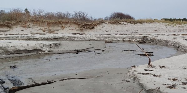 Crescent Beach by null