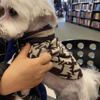 Petco - A picture is worth a thousand words. The groomer's name was Leanne. - Pet Training Near Me - Avon, Connecticut