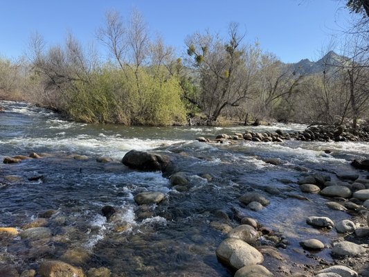 AutoCamp Sequoia by null