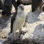Zoologisk Have
