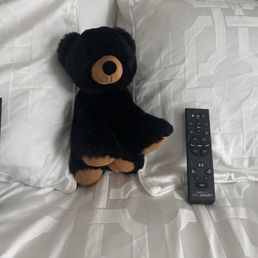 The HERS and HIS remotes . The HERS and HIS remotes .