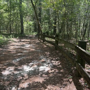 Devil's Millhopper State Geological Site - Part of the trail - Parks Near Me - Gainesville, Florida