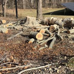 Elite Landscaping & Tree Removal
