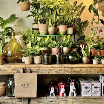 Amici Coffee Co. - Plant Shop - Coffee & Tea Near Me - Horsham, WSX Amici Coffee Co. - Plant Shop - Coffee & Tea Near Me - Horsham, WSX