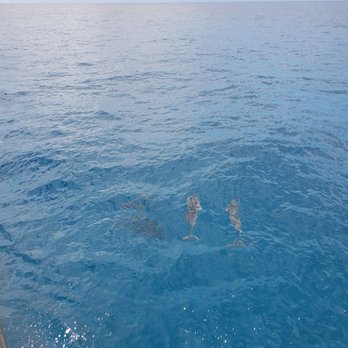 Blue Dolphin Charters - Boating Near Me - Eleele, Hawaii Blue Dolphin Charters - Boating Near Me - Eleele, Hawaii