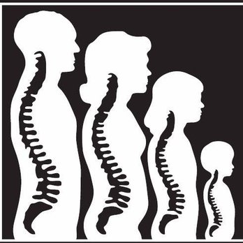 Lakefront Chiropractic Center - Chiropractors Near Me - Glencoe, Illinois