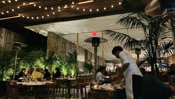 Bottega Louie WEHO by null