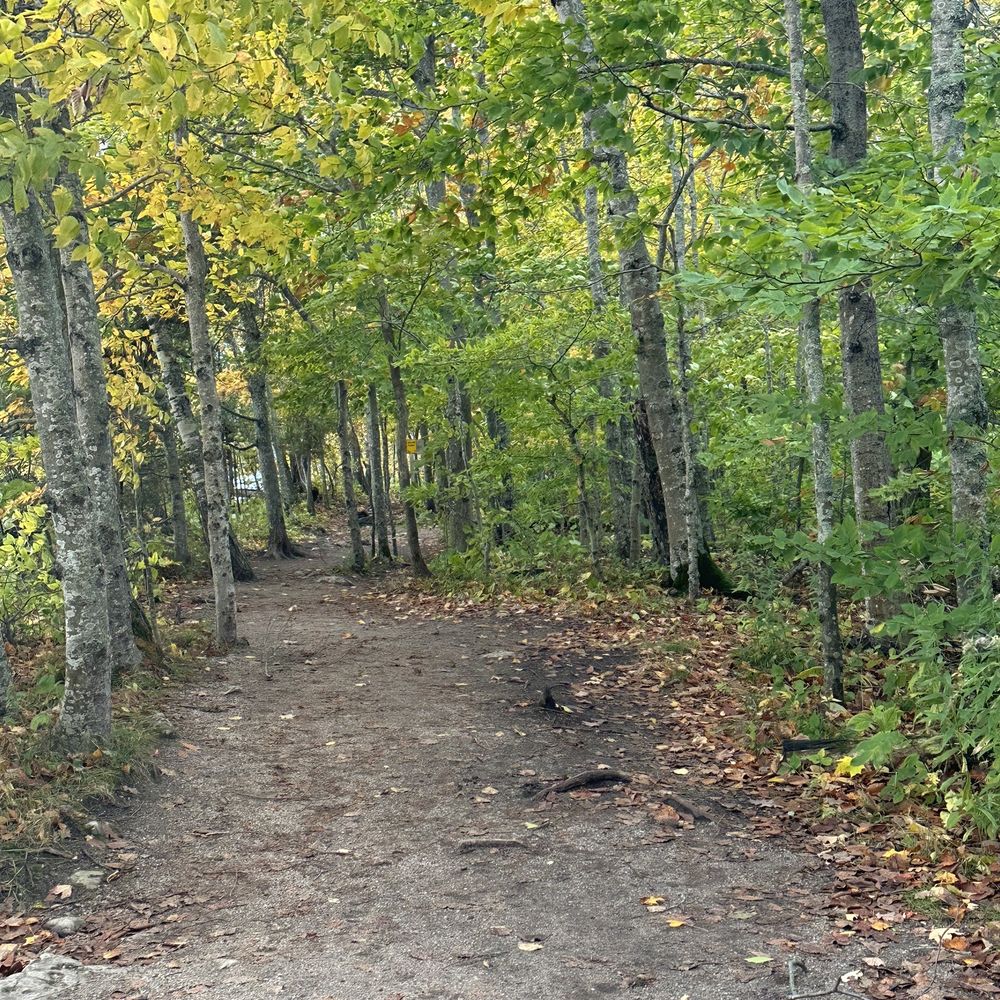 RunAway Lodge @ Valmy - Whitefish Dunes State Park - Hotels Near Me - Sturgeon Bay, Wisconsin RunAway Lodge @ Valmy - Whitefish Dunes State Park - Hotels Near Me - Sturgeon Bay, Wisconsin