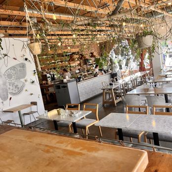 The Moth Cafe - Vegan Near Me - Edmonton, Alberta The Moth Cafe - Vegan Near Me - Edmonton, Alberta