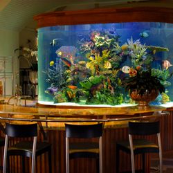 Gibbons Aquaria - 1800-gallon Saltwater tank built into the bar in a private boston residence.