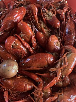 Kasian Kitchen Crawfish & Seafood by null