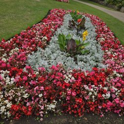 Imperial Gardens