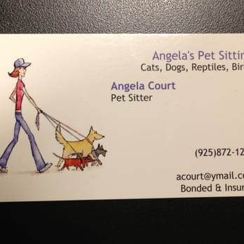 Avalon Pet Sitting - Pet Sitting Near Me