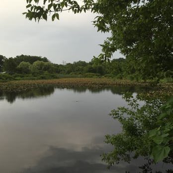Shady Brook Park - a place to go fishing - Parks Near Me - Hamilton Township, New Jersey Shady Brook Park - a place to go fishing - Parks Near Me - Hamilton Township, New Jersey