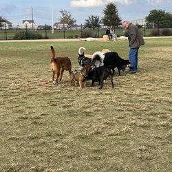 Wells Branch Dog Park