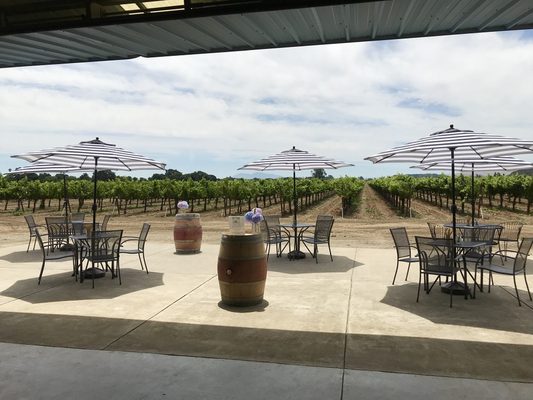 Suisun Creek Winery by null
