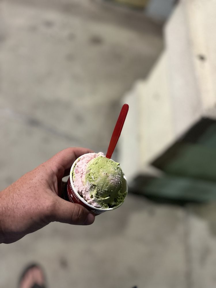 Bruster's Real Ice Cream Logo