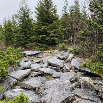 Spruce Knob - Hiking Near Me - Whitmer, West Virginia