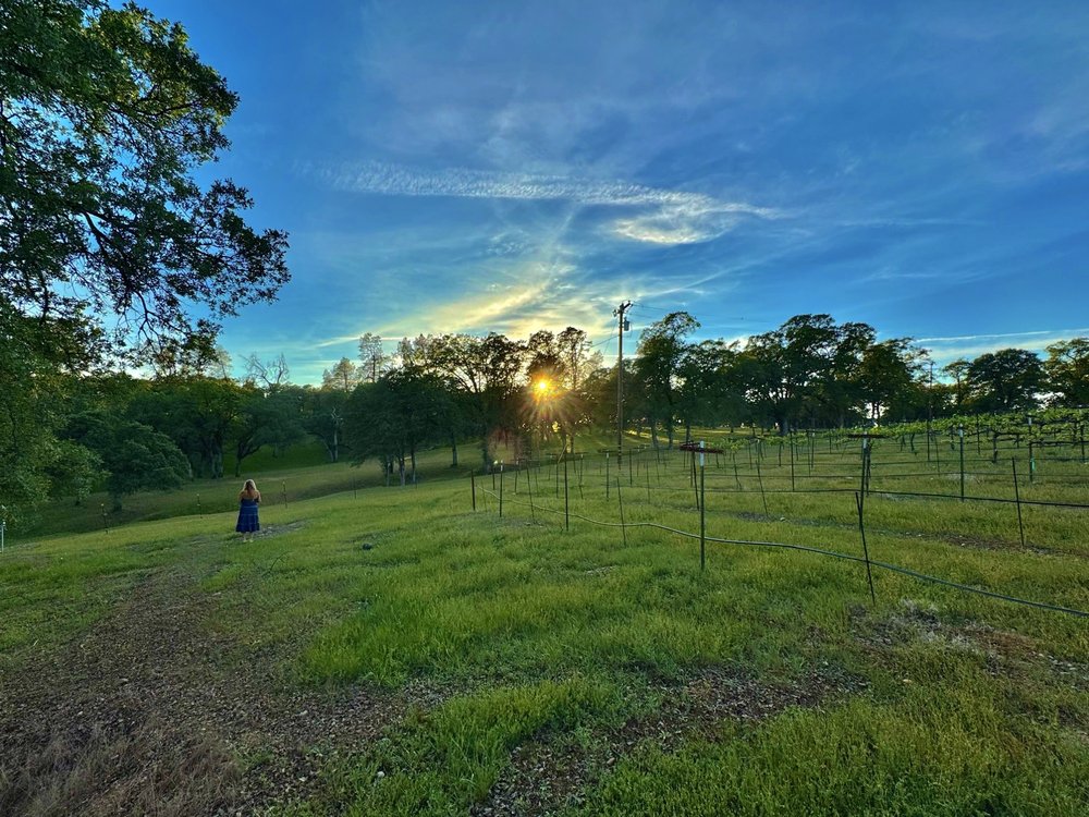 Hickman Family Vineyards Logo