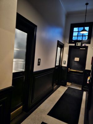 The Black Cat by null The Black Cat by null