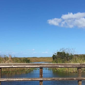 Osceola Airboat Rides - Tours Near Me - Miami, Florida Osceola Airboat Rides - Tours Near Me - Miami, Florida