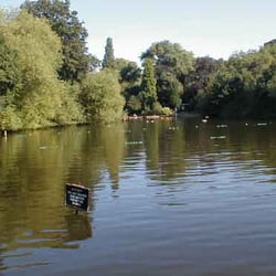 Hampstead Mixed Ponds