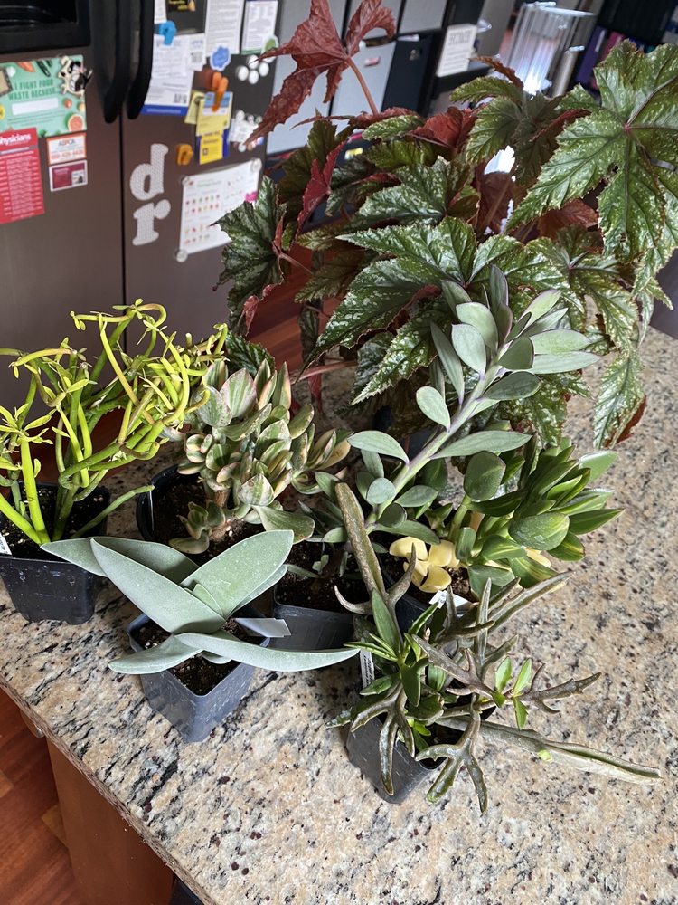 SCHUREN NURSERY & GARDEN CENTER Updated July 2024 51 Photos 1709 County Rd 2200 E, Saint