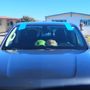 Photo of Priceless Autoglass