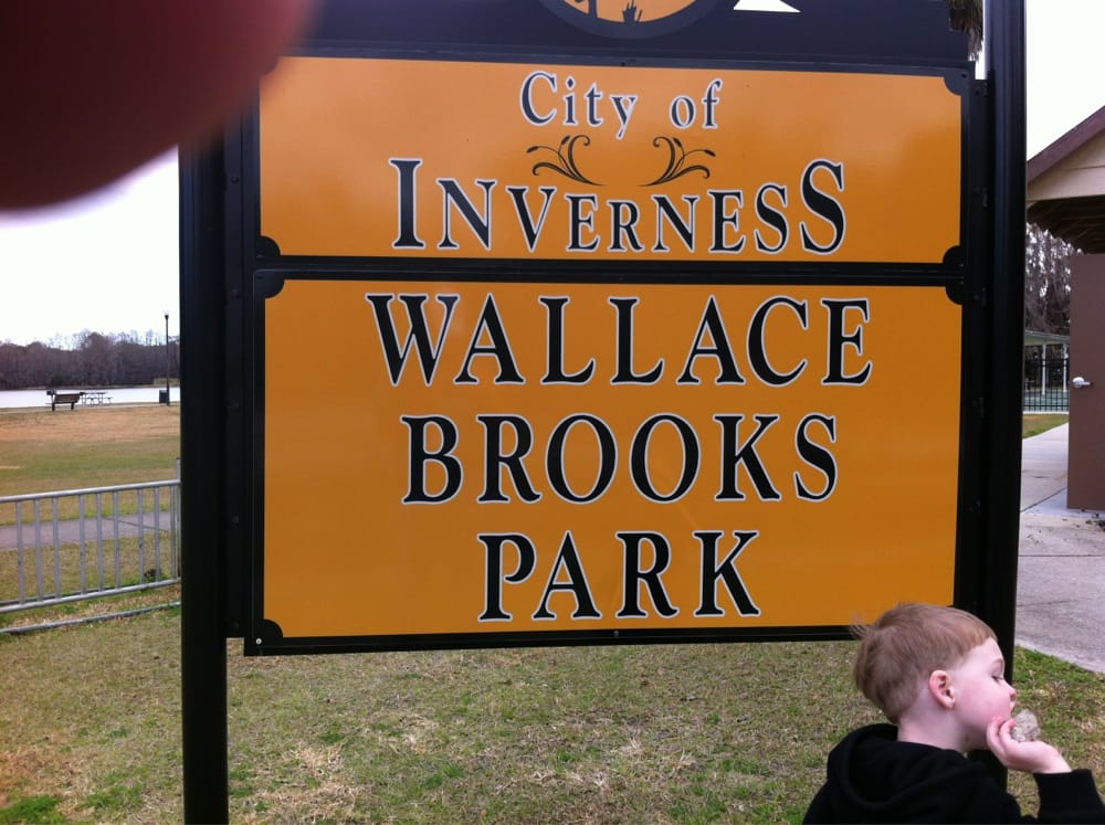 Wallace Brooks Park Image
