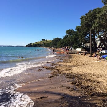 Cheltenham Beach - Stunning morning taking in the King Tide. - Beaches Near Me - Auckland, AUK Cheltenham Beach - Stunning morning taking in the King Tide. - Beaches Near Me - Auckland, AUK