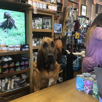 Hammers Healthy Hounds - Extra helper! - Pet Stores Near Me - Sparks, Nevada