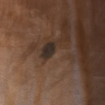 Sheraton Albuquerque Uptown - Stain on the couch. Yuk!! - Hotels Near Me - Albuquerque, New Mexico Sheraton Albuquerque Uptown - Stain on the couch. Yuk!! - Hotels Near Me - Albuquerque, New Mexico