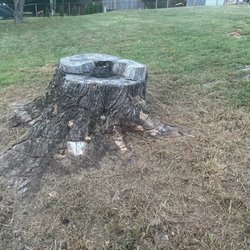 The Grumpy Stumper - Before