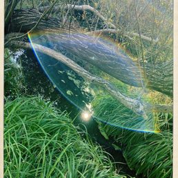 stream