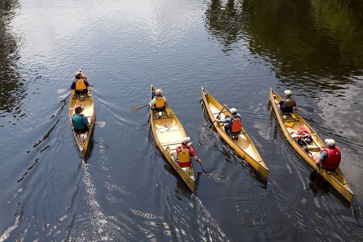 White Rose Canoe Logo