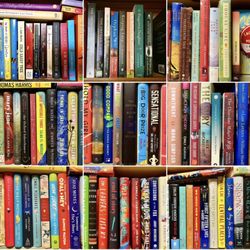 Booklady's Book Attic - Gently used, never abused, books for less.