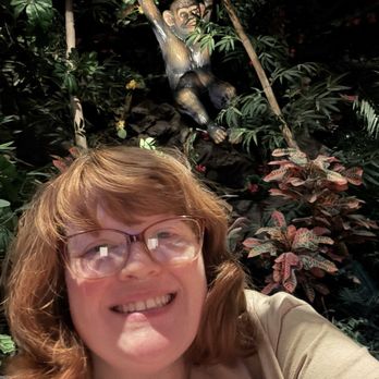 Rainforest Cafe - American Near Me - Las Vegas, Nevada