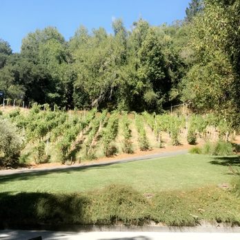 Thomas George Estates - Wineries Near Me - Healdsburg, California