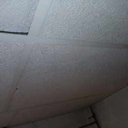 Drop ceiling destroyed by Joel plumber, and I never drink at 9am as I am asleep?? You never came to my house in morning! Drop ceiling destroyed by Joel plumber, and I never drink at 9am as I am asleep?? You never came to my house in morning!