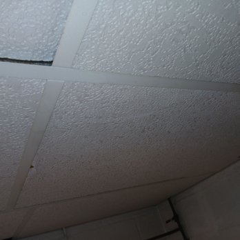 Kaleb's Kustom Plumbing - Drop ceiling destroyed by Joel plumber, and I never drink at 9am as I am asleep?? You never came to my house in morning! - Plumbing Near Me - Pittsburgh , Pennsylvania Kaleb's Kustom Plumbing - Drop ceiling destroyed by Joel plumber, and I never drink at 9am as I am asleep?? You never came to my house in morning! - Plumbing Near Me - Pittsburgh , Pennsylvania