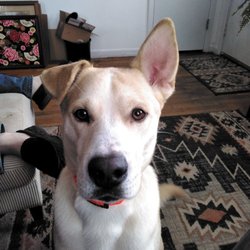 Brian O’Reilly Plumbing Services