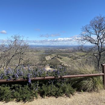 Le Cuvier Winery - View while waiting for our reservation and enjoying warm tea to cleanse the palette. - Wineries Near Me - Paso Robles, California Le Cuvier Winery - View while waiting for our reservation and enjoying warm tea to cleanse the palette. - Wineries Near Me - Paso Robles, California